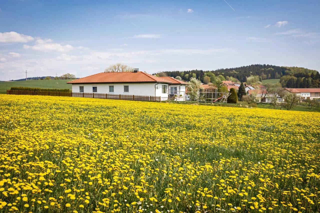 Traumferienhaus Xxl Ortner Wetzendorf 外观 照片